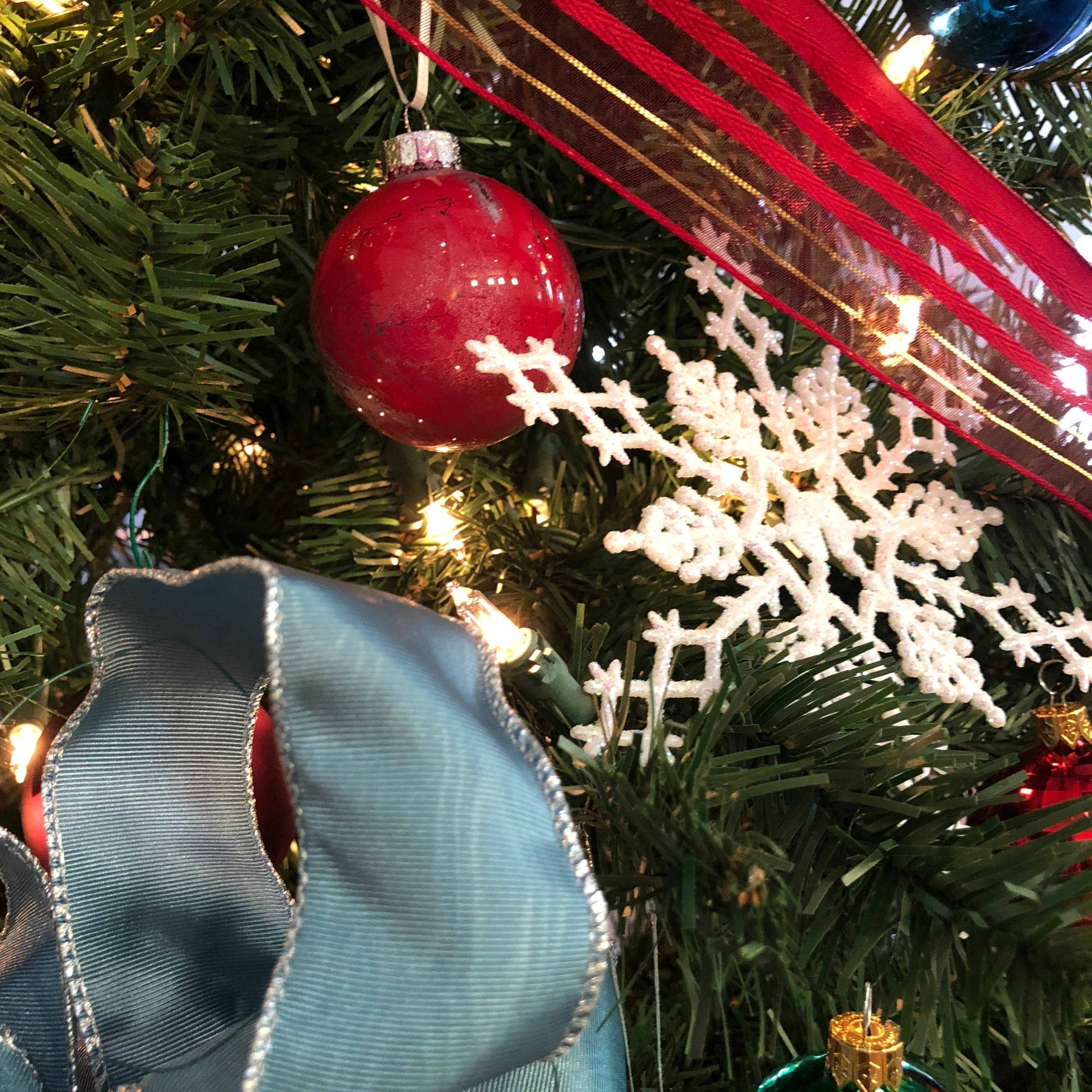 Hearts Open to the Word