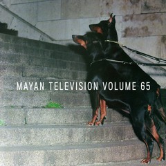 Mayan Television Vol. 65