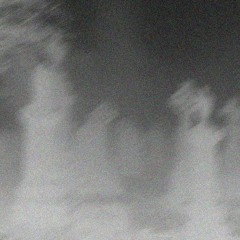 𝓜𝓸𝓻𝓷𝓲𝓷𝓰 𝓒𝓪𝓻𝓽𝓸𝓸𝓷𝓼 🐇