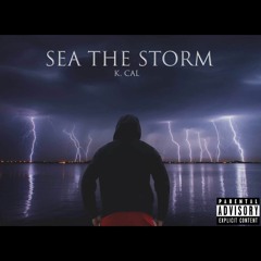 Sea the Storm