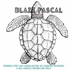 During The Last Exhalation Of Carbon Dioxide, A Sea Turtle Wishes Me Well