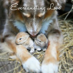 Everlasting Love LIVE Recording