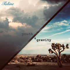 Four Categories Of Lotus