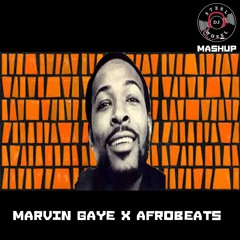 DJ SW MARVIN GAYE- GOT TO GIVE IT UP AFROMIX
