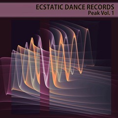 Temple Step - Gracias, Gracias (Dysphemic Remix)