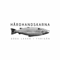 Döda Laxar i Fyrisån