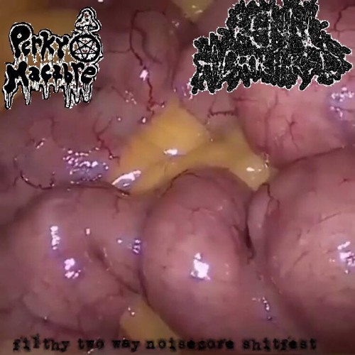 Smegmatic Dick Bubble