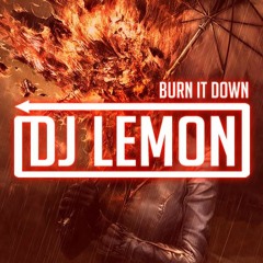 [BURN IT DOWN] CHINESE REMIX