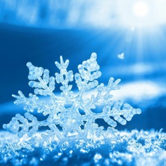 Andy Frost x Chef Boy Dee - Frosty