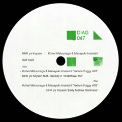 DIAG047 NHK yx koyxen feat. Speedy K 'Step Move #01'