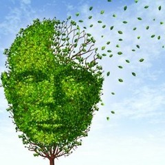 €ino $un$hine - Juuri