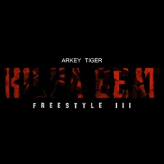 Tiger - Freestyle Kilha Beat III (audio)