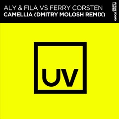 Aly & Fila Vs Ferry Corsten - Camellia (Dmitry Molosh Remix)