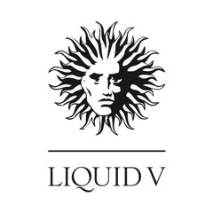 Physics - Day After Day - Liquid V