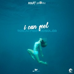 Rowdy & Absolem - I Can Feel (Original Mix)