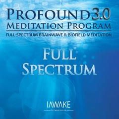 Profound Meditation Program 3.0 (Tier 2 Track 1)