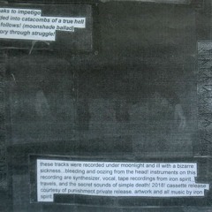 iron spirit of the purulent truth "songs from a rotted head..." full cassette (rip from tape)