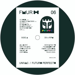 FMR 006 Univac "Futuro Perfecto" A3 Unit 4