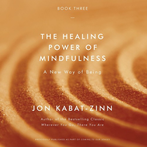 THE HEALING POWER OF MINDFULNESS by Jon Kabat-Zinn Ph.D. Read by the Author - Audiobook Excerpt