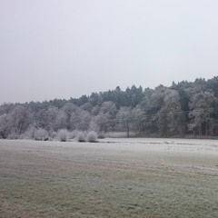 Erster Schnee fällt vom Himmel