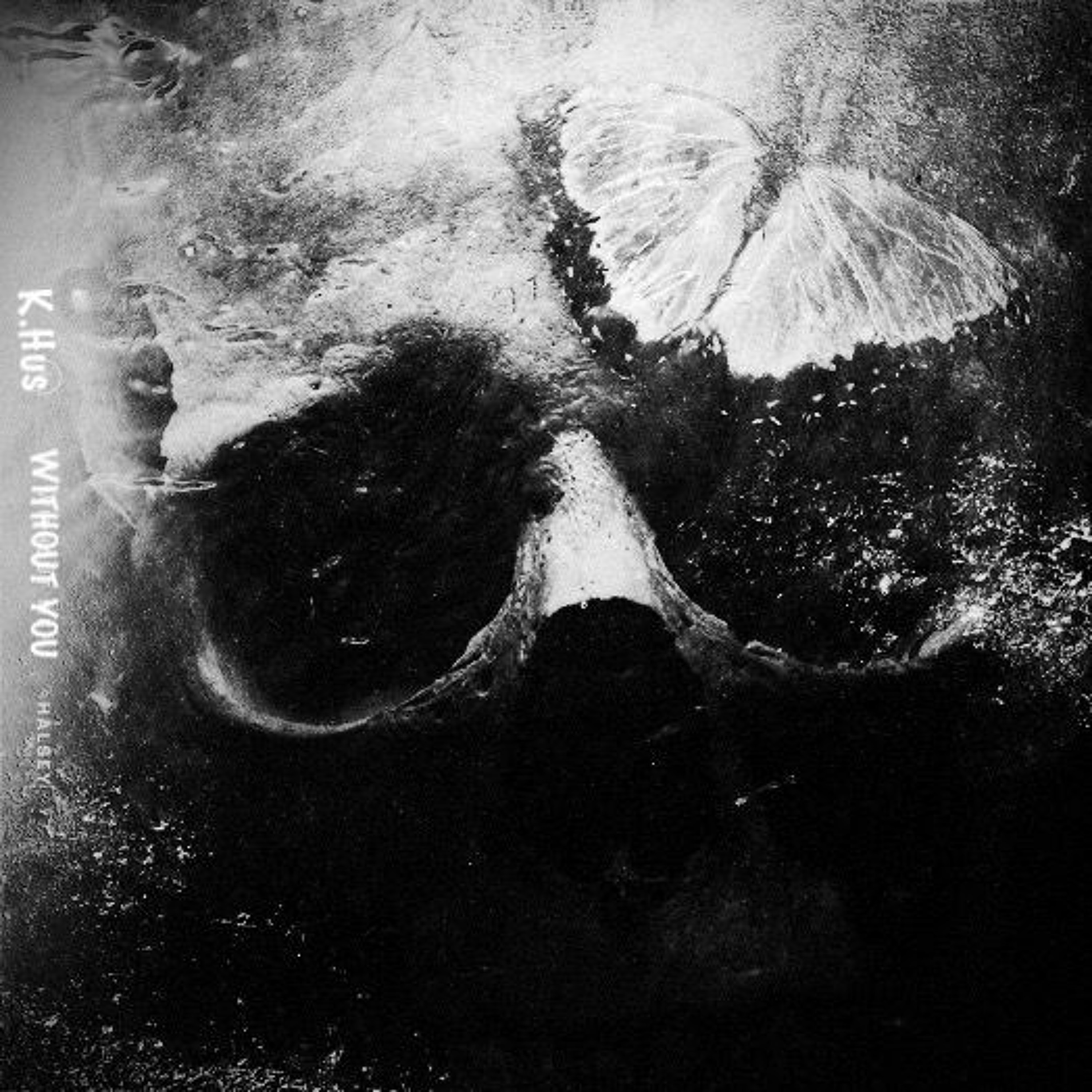 Halsey - Without Me episode artwork
