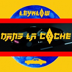 DANS LA COCHE - LEYKLOW