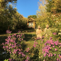 stranger things x t-shirt