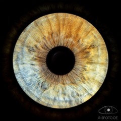 LiliJ                  Sun is shining  الشمس الساطعة