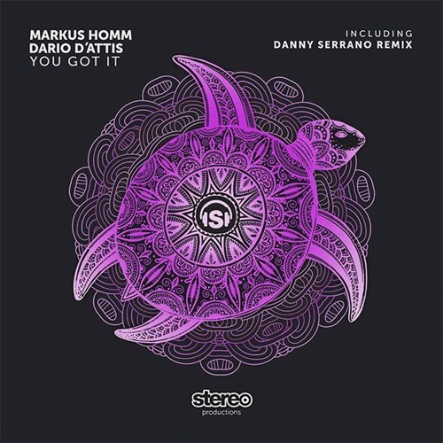 Markus Homm & Dario D'Attis - You Got It - Original Mix