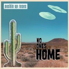 No One's Home