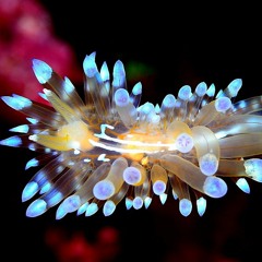 I'm Only Trying To Help