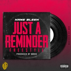 Just A Reminder prod by Mr99