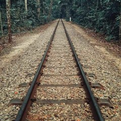 محمد عبد المنعم تايهين