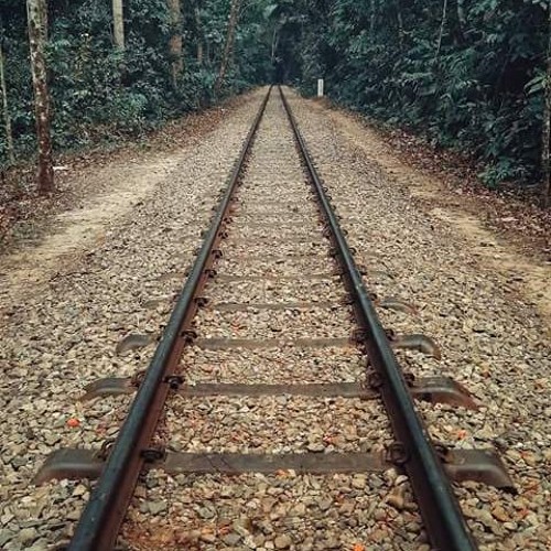 محمد عبد المنعم تايهين