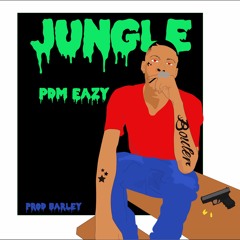 TN$ Eazy Jungle (prod barley)