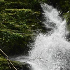 The things - Eulogy & Johnny Rox