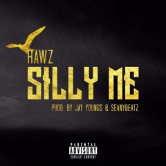 Rawz - Silly Me [Prod. SeanyBeatz x Jay Youngs]