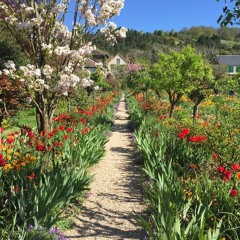 Waiting On A World To Change Cover