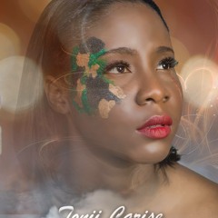 We're Done (Remix of Camp Rock - Our Time is Here)