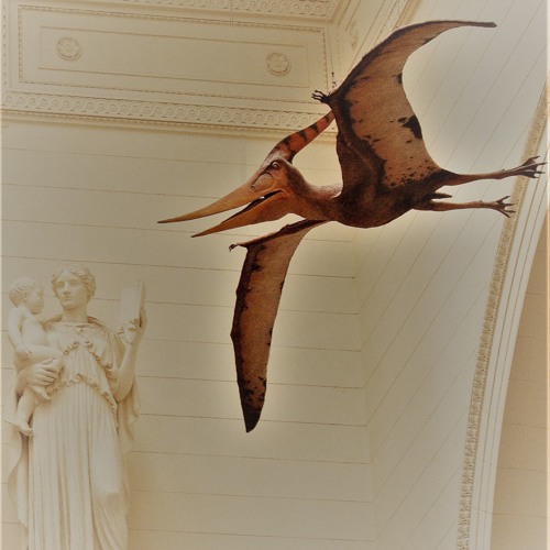 WHAT WILL THERE BE / PRIMATE TO DINOSAUR