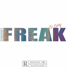 Freak Ft. Chi City