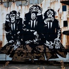 #3: ProMedicus, A2 Milk and Experience Co.