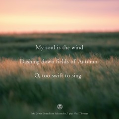 Fields of Autumn [naviarhaiku254 - My soul is the wind]