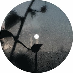 Wave Particle Singularity - Index 11