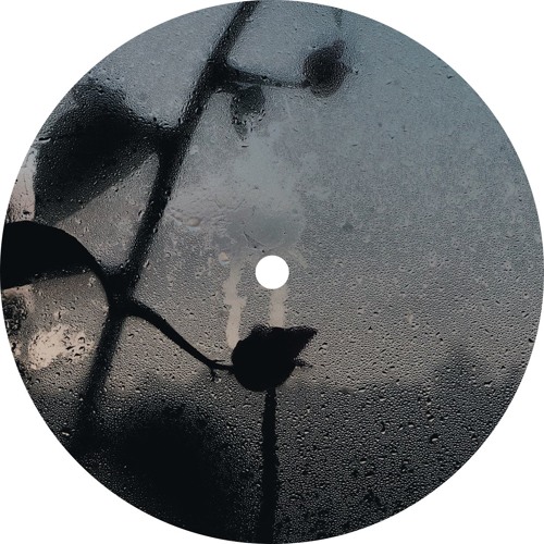 Wave Particle Singularity - Index 11