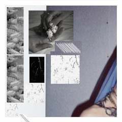 PRECIOUS - gk, wærry & plante carnivore [prod. NIMBUS2k.]