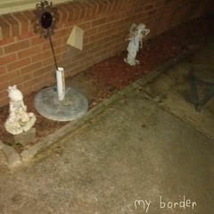 my border (ruff mix)