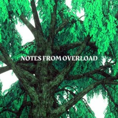 Notes from Overload 012 (feat. Pional, Total Science, Carl Craig)