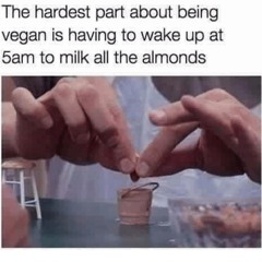almond milk mom