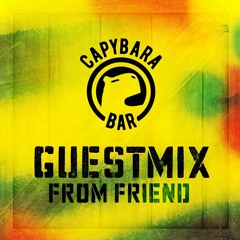 Capybara Stories - 041 - Baithead (UK) - Capy Guest Mix